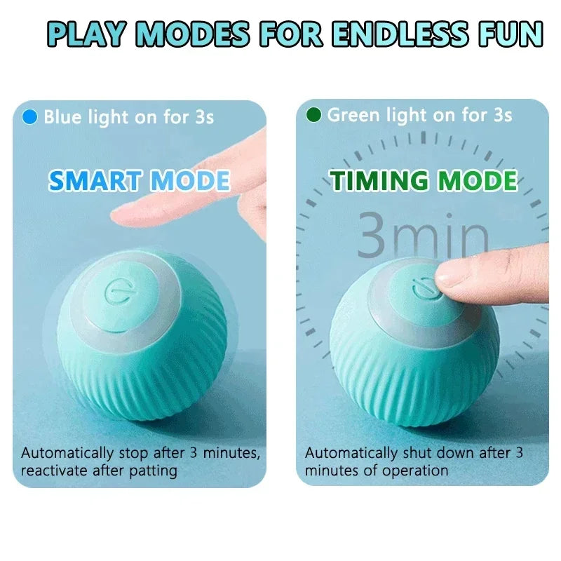 Spin Ball for Pets
