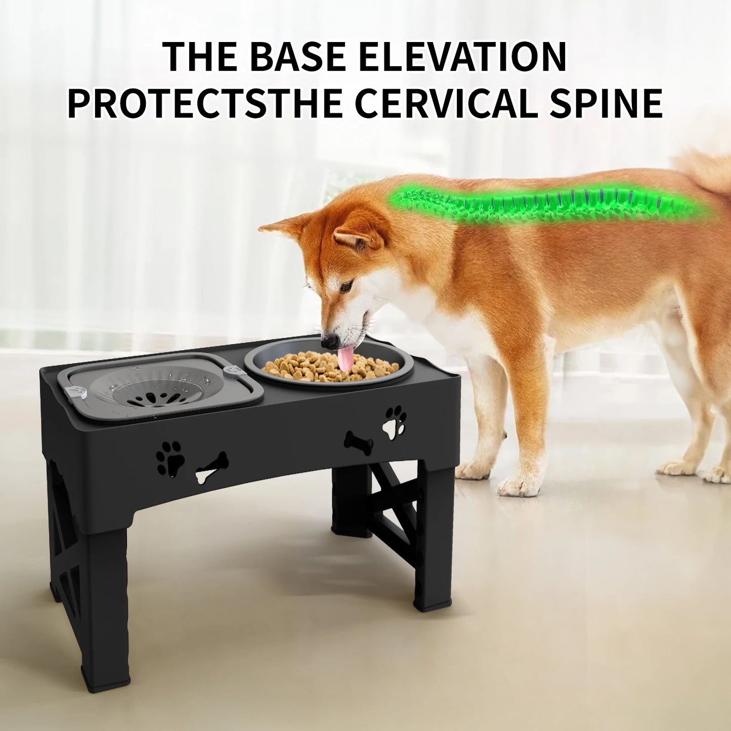 3 In 1 Pet Feeder