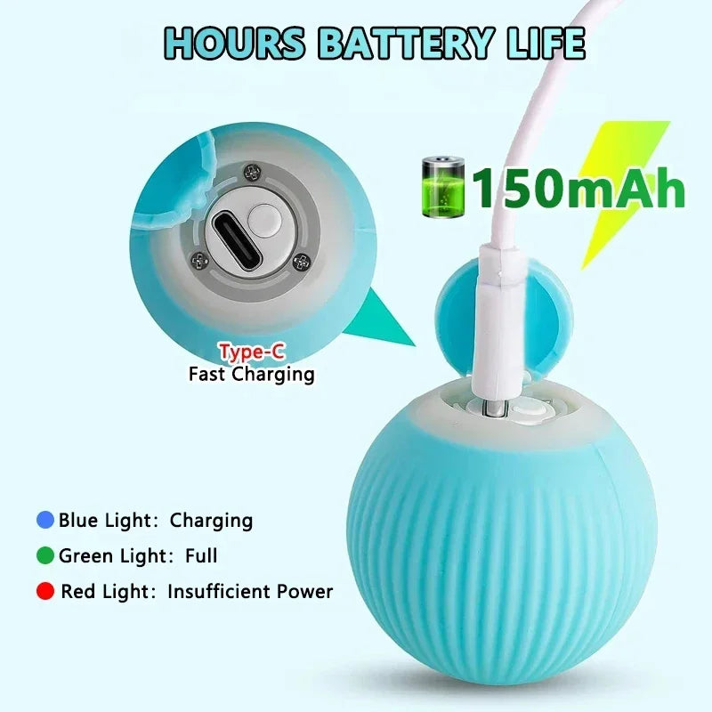 Spin Ball for Pets