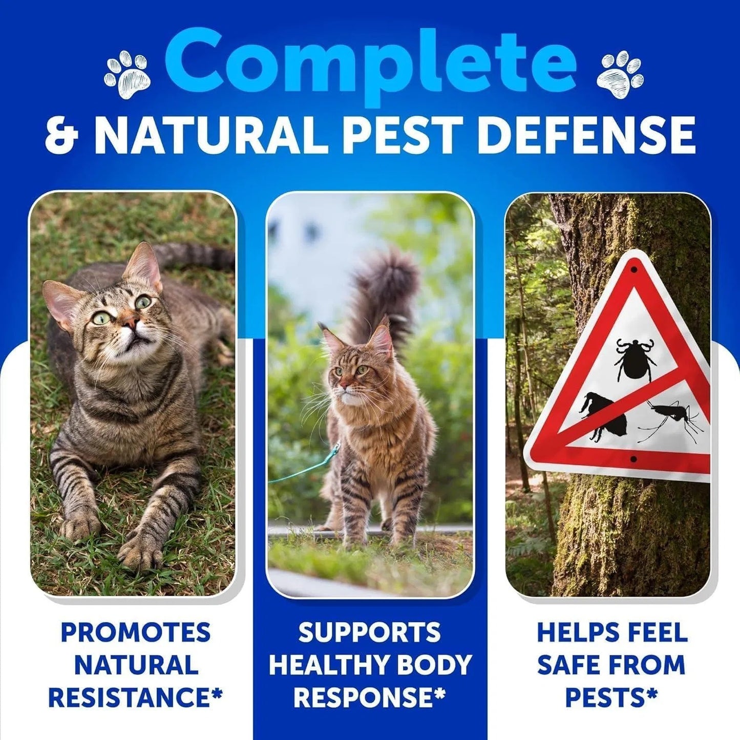 Cats Supplement for Flea Treatment