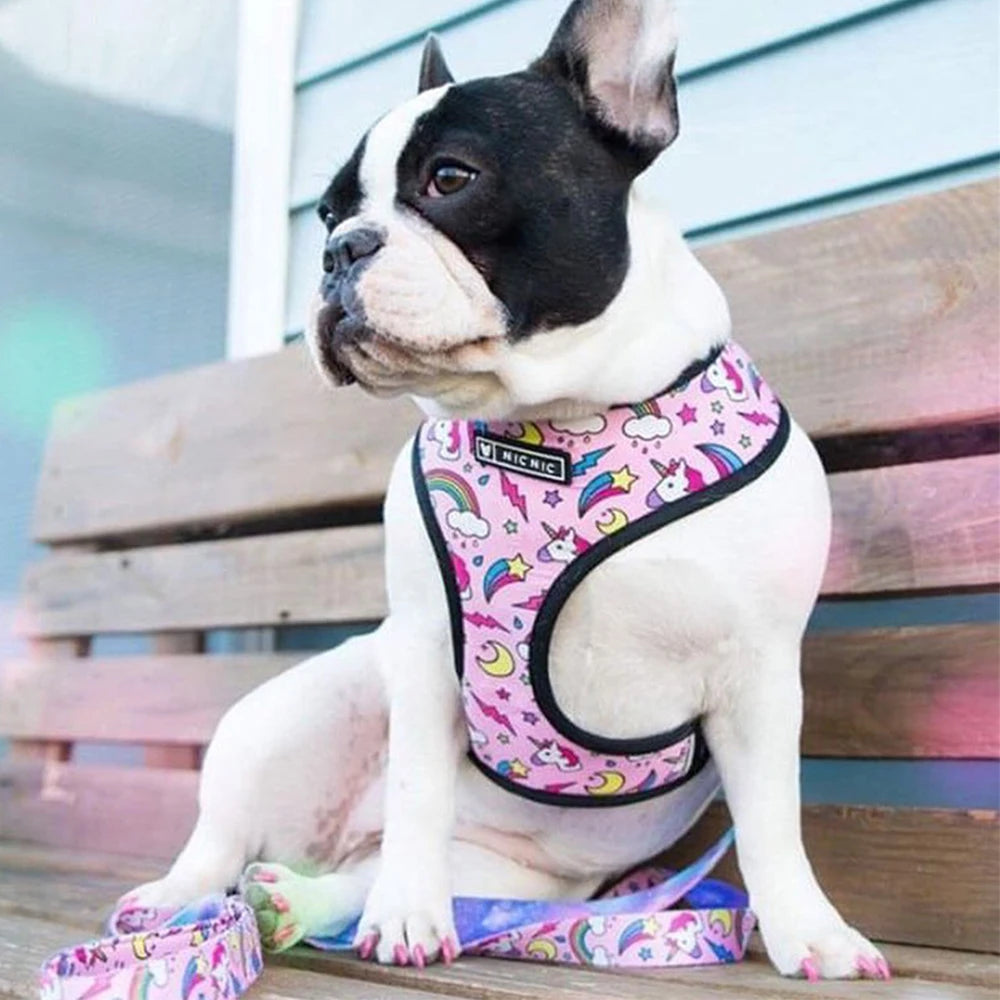 Pets Vest Harness for pups with Leash Set.