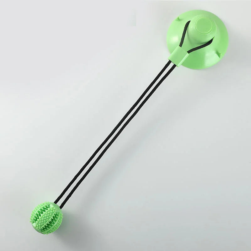 Interactive Suction Cup