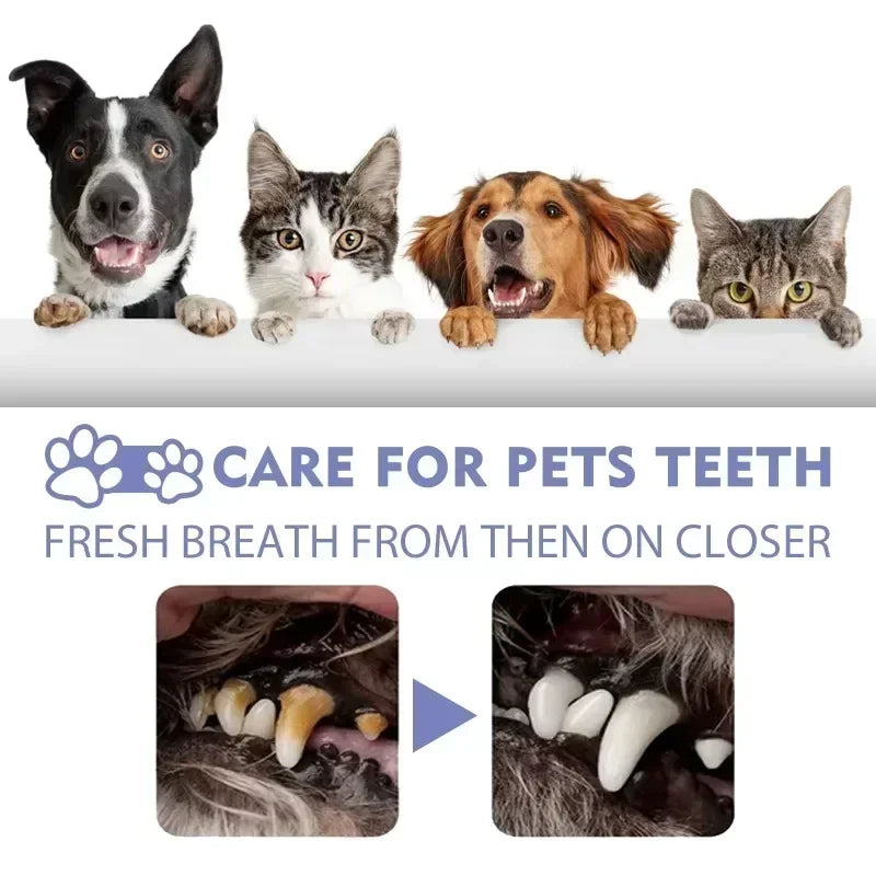 Pet Teeth Cleaning Spray - Oral Care