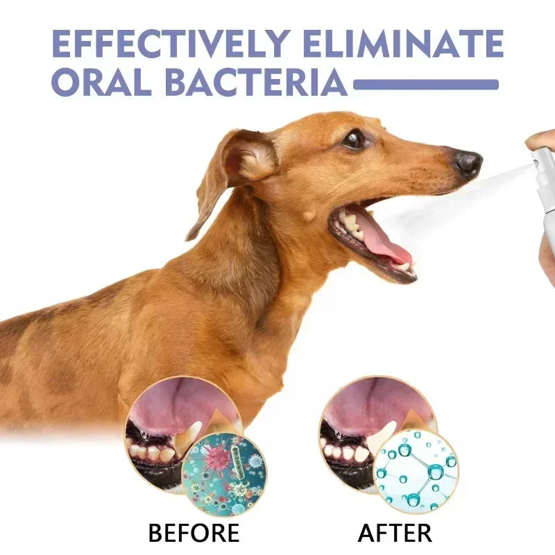 Pet Teeth Cleaning Spray - Oral Care