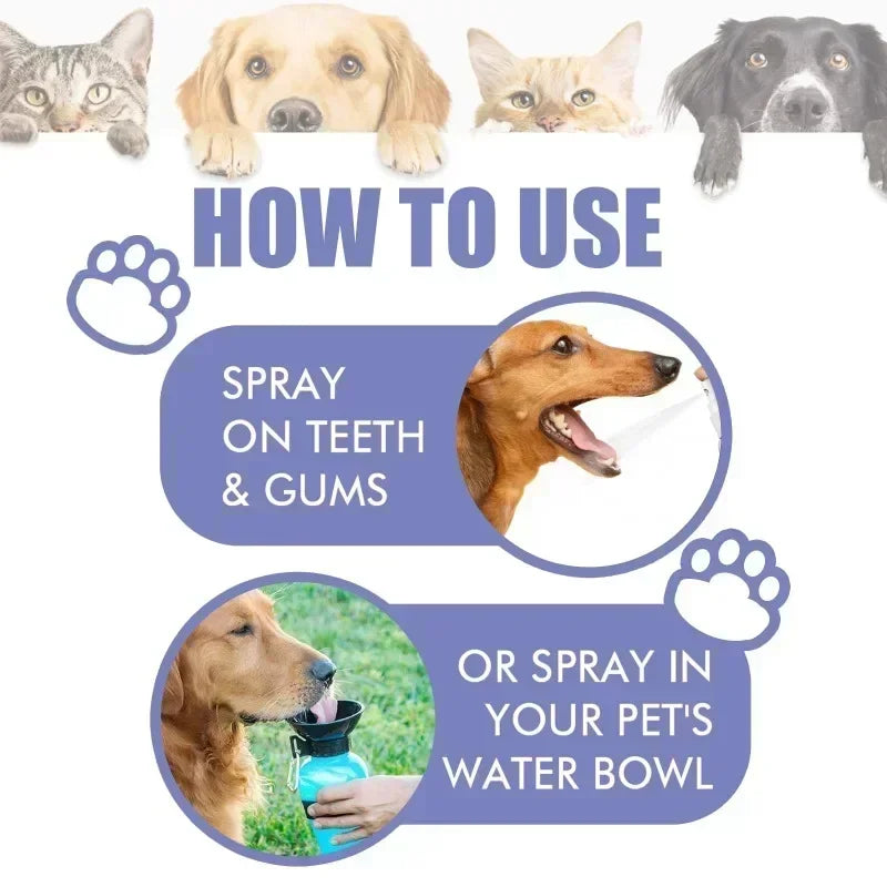 Pet Teeth Cleaning Spray - Oral Care