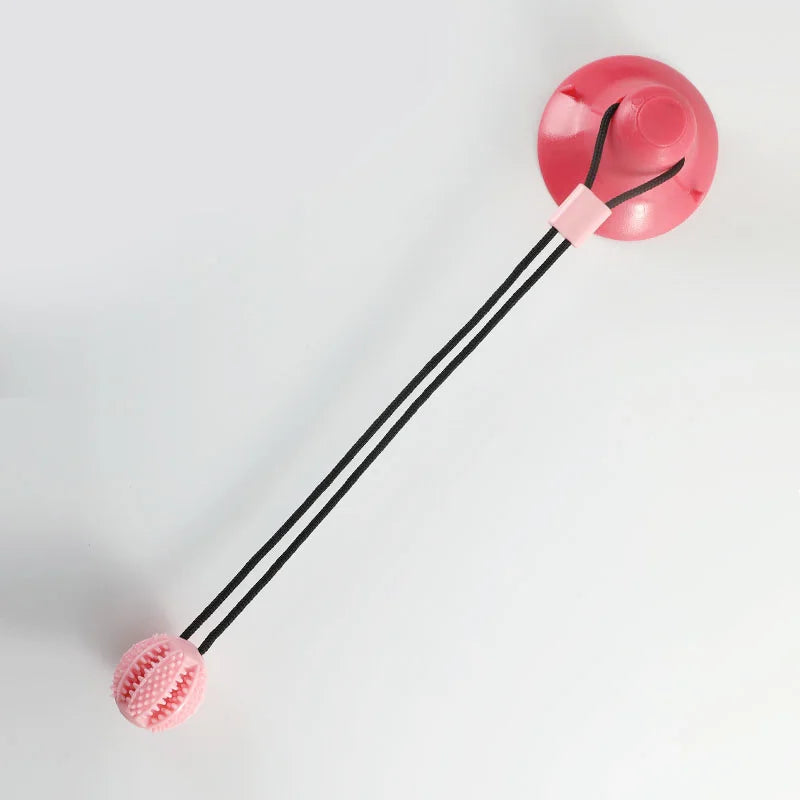 Interactive Suction Cup