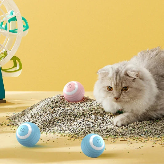 Spin Ball for Pets