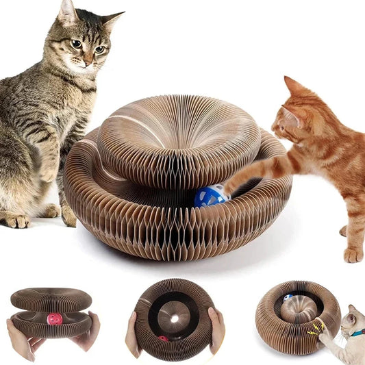 Cats Scratcher