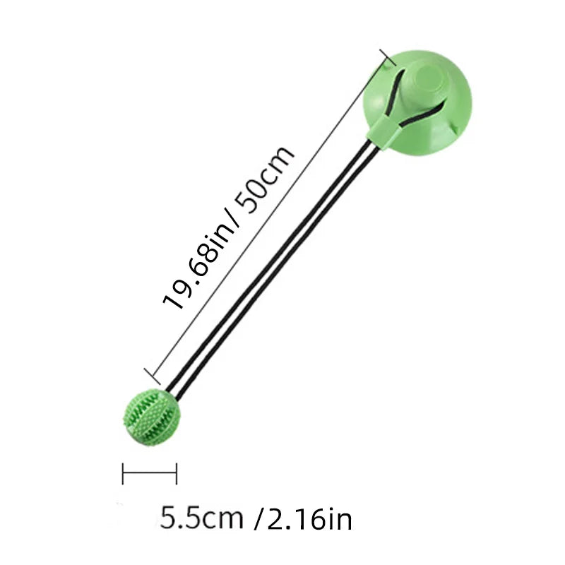 Interactive Suction Cup