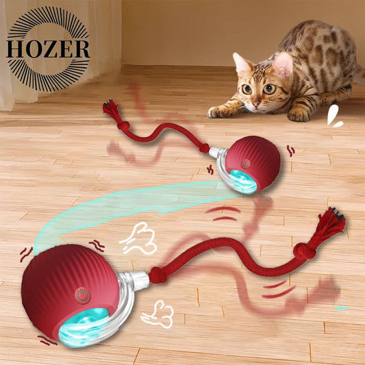 Cat Interactive Rechargeable ball
