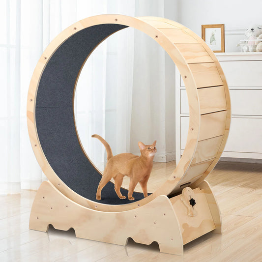 42.51 in Solid Wood Cat Exercise Wheel