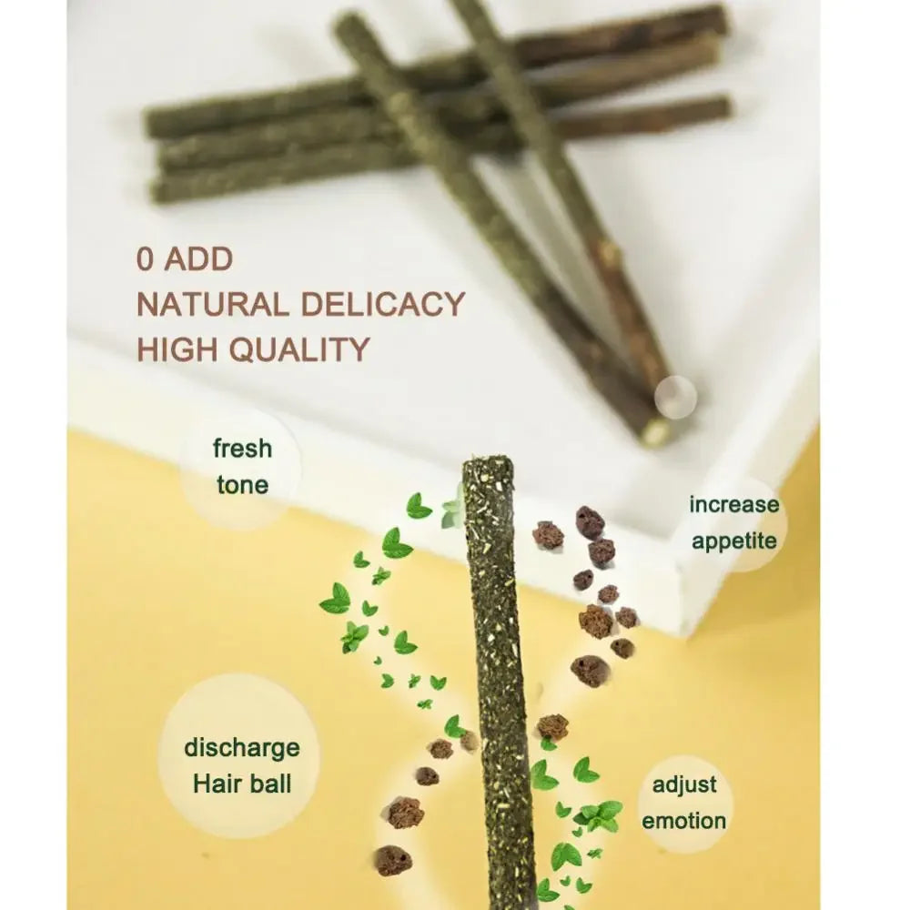 6pcs Natural Cat Stick Mints For Cat Teeth Cleaning Treating