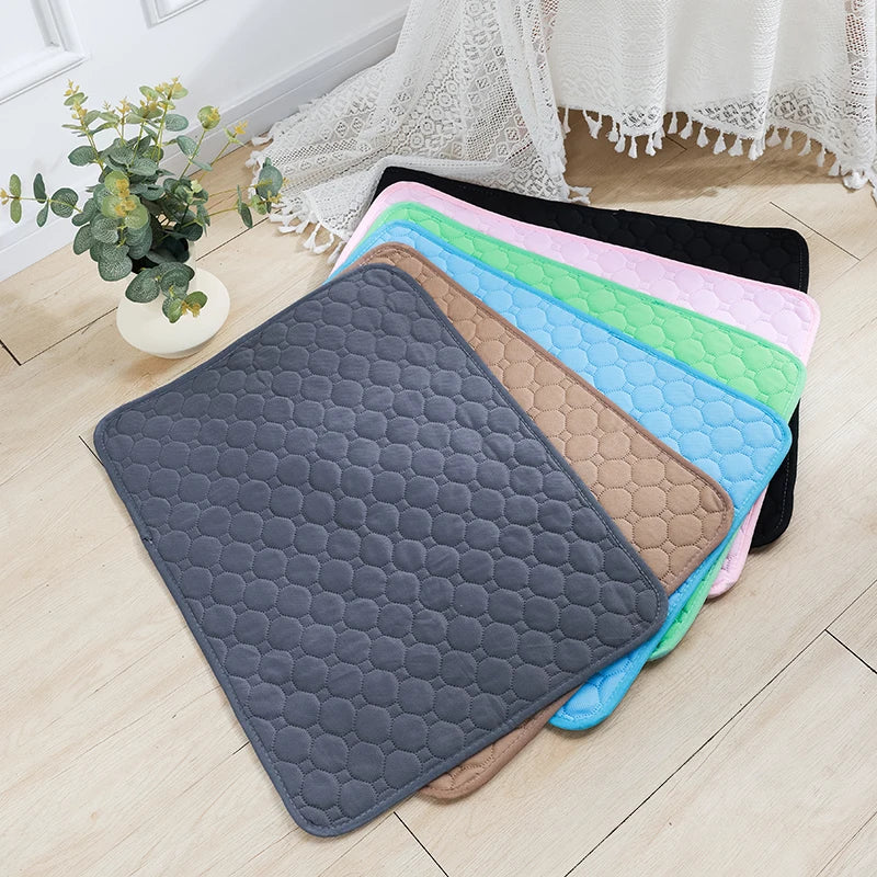Reusable Dog Pad Blanket with an Absorbent Diaper.