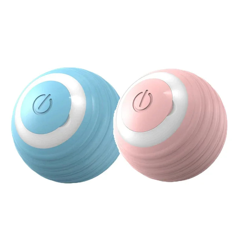 Spin Ball for Pets