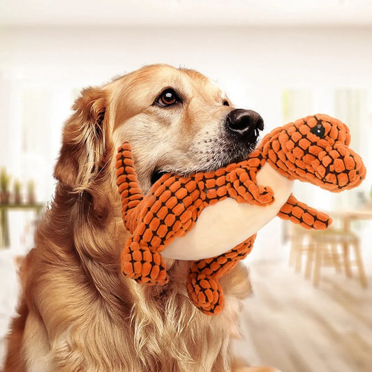 Dog Chew Toy