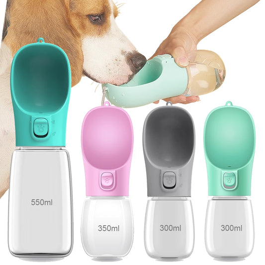 Water Feeder Bowl For Dogs & Cats