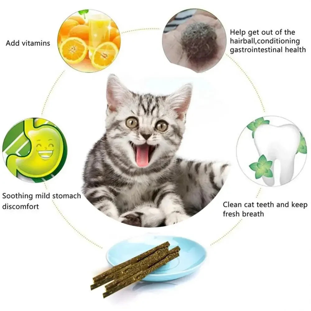 6pcs Natural Cat Stick Mints For Cat Teeth Cleaning Treating
