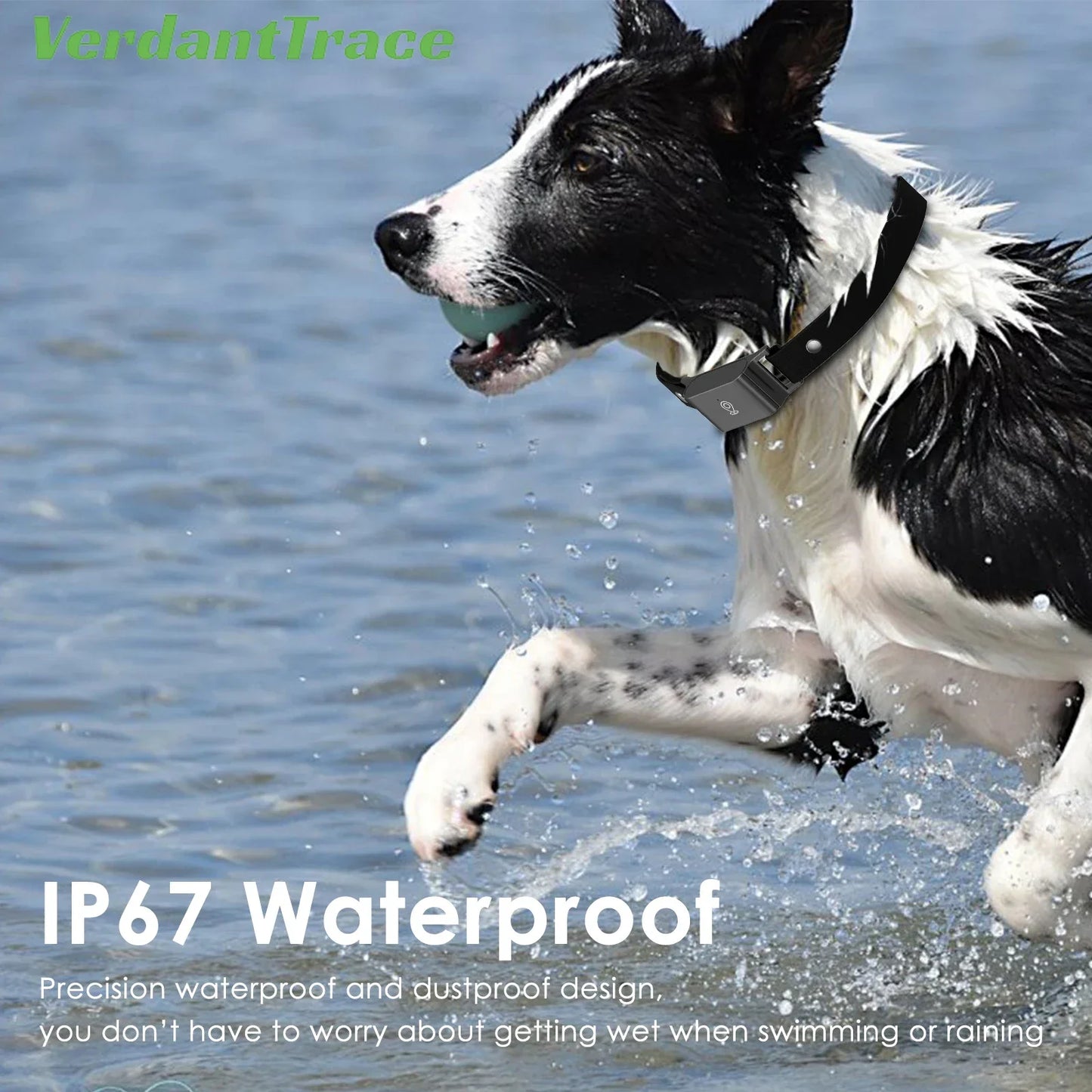 VerdantTrace Smart GPS Pet Collar – Waterproof 4G Tracker with Real-Time Location for Dogs & Cats