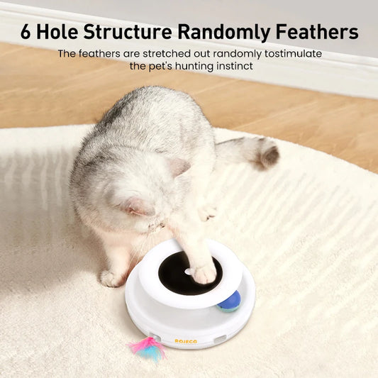 2 in 1 Smart Feather Fun Ball